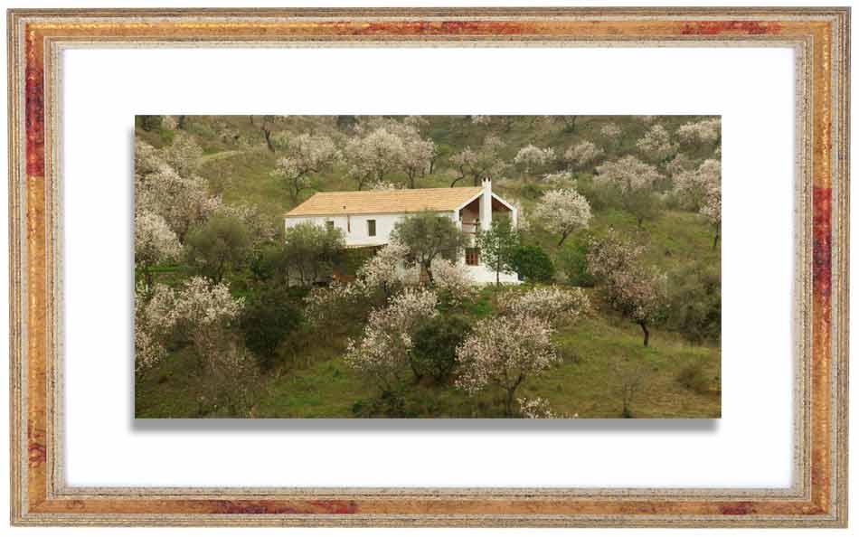 Alora house for sale, Spain